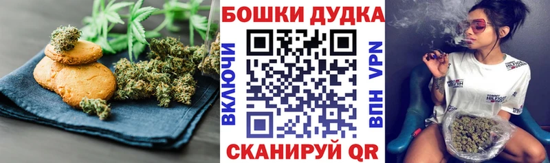 Купить закладки  Мурино  Canna-Cookies конопля 