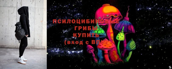 mdpv Дмитров