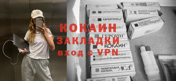 бошки Ельня