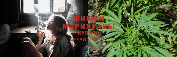 mdpv Дмитров