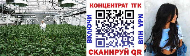 Купить закладки  Мурино  ТГК вейп 